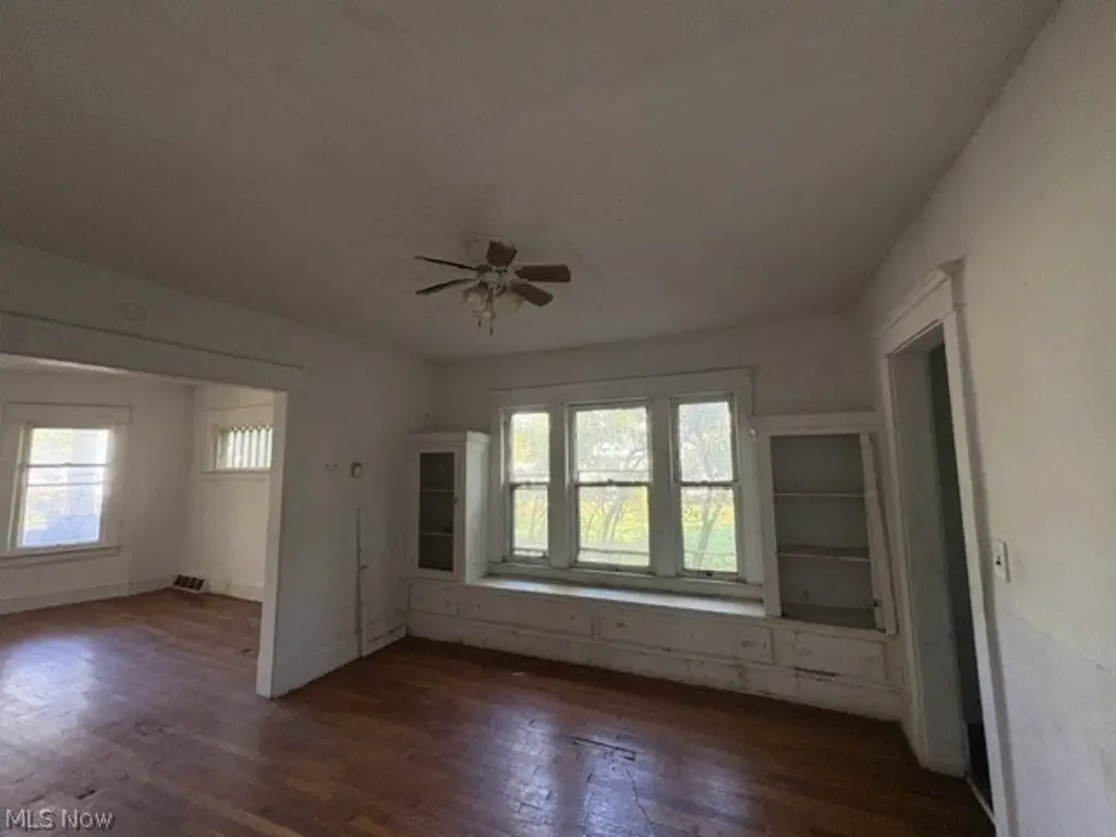 Picture 5