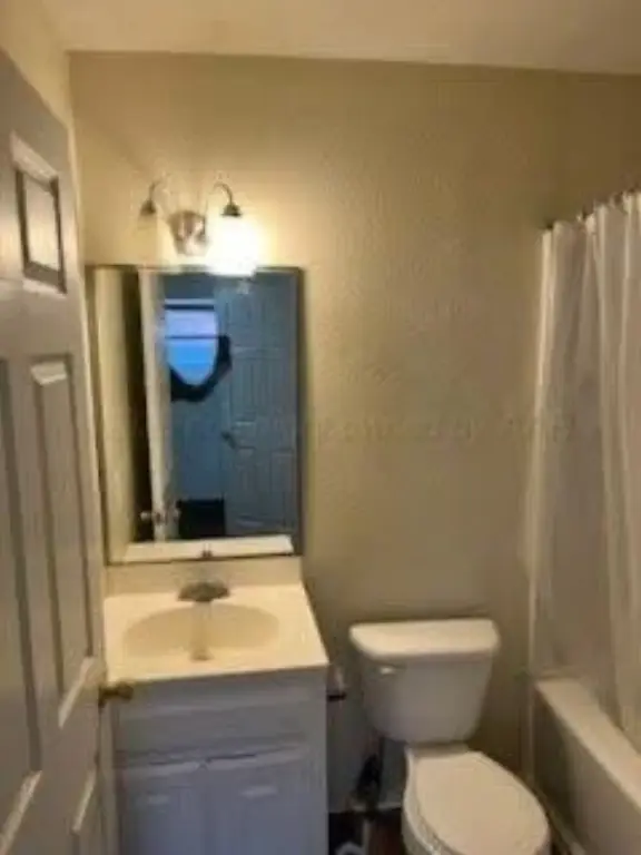Picture 19