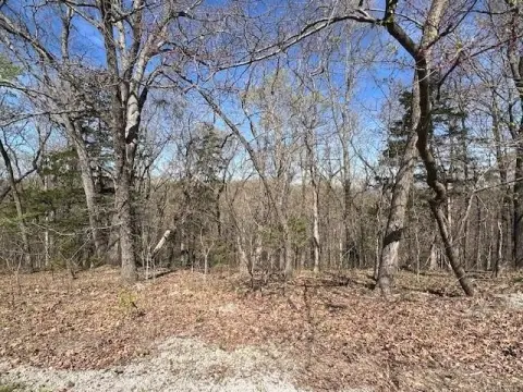 Residential Lot in Holiday Island