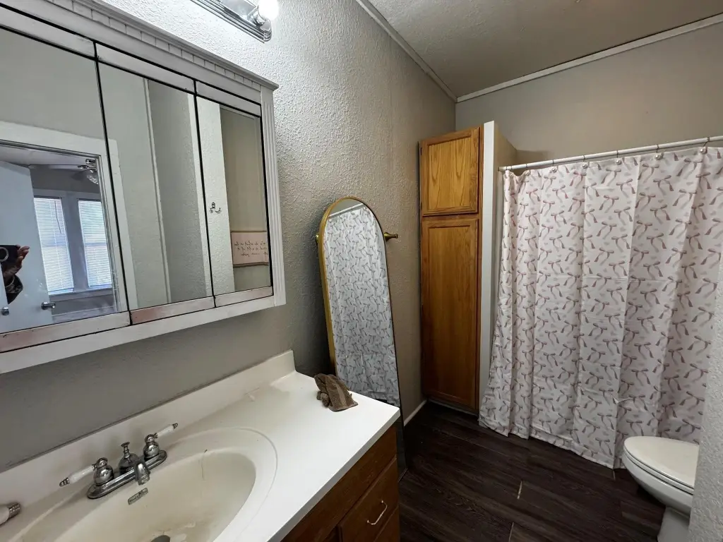 Picture 6