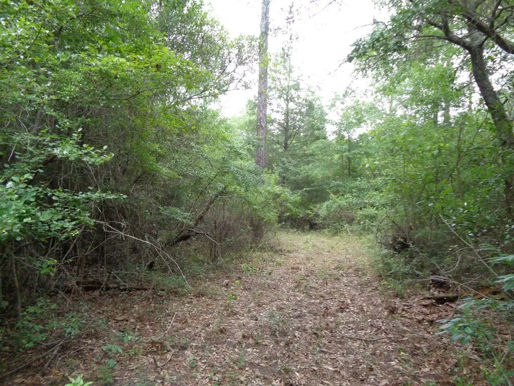 Picture 13