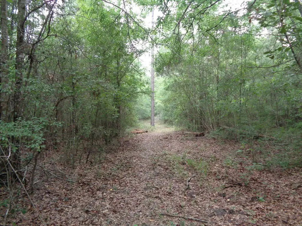 Picture 7
