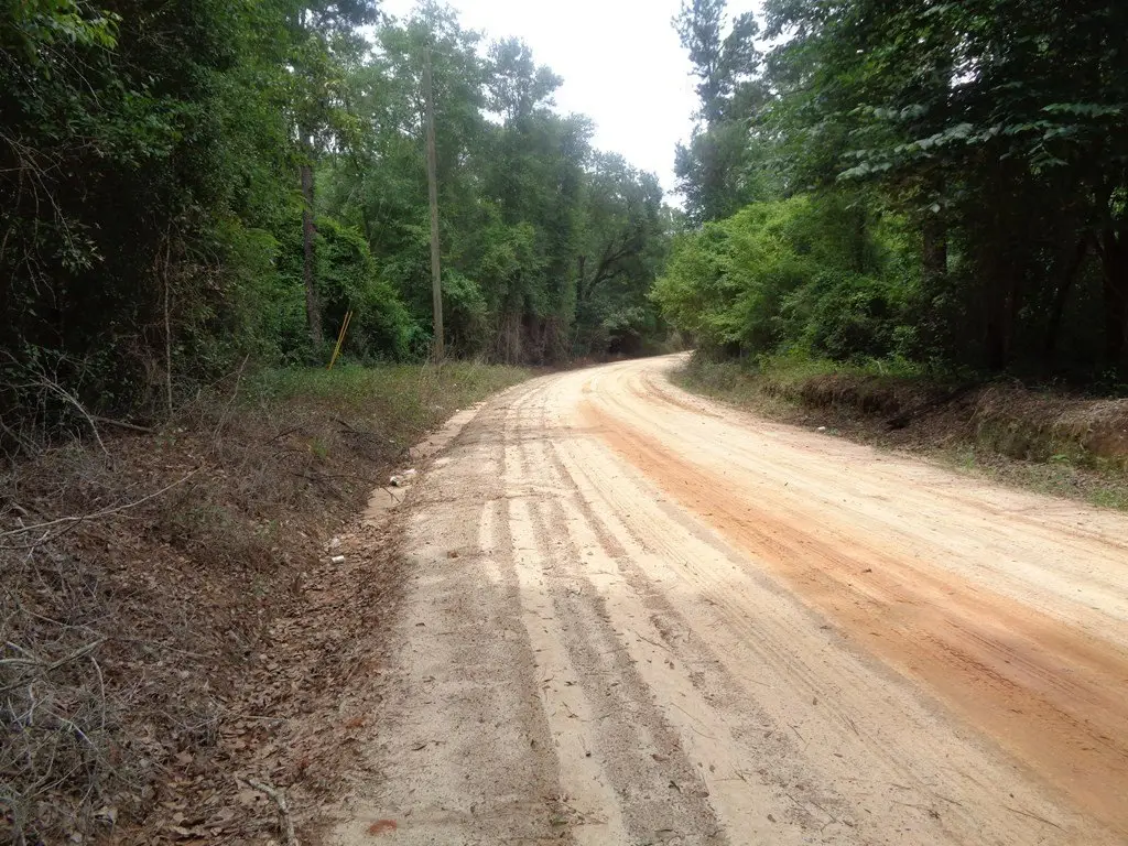 Picture 25