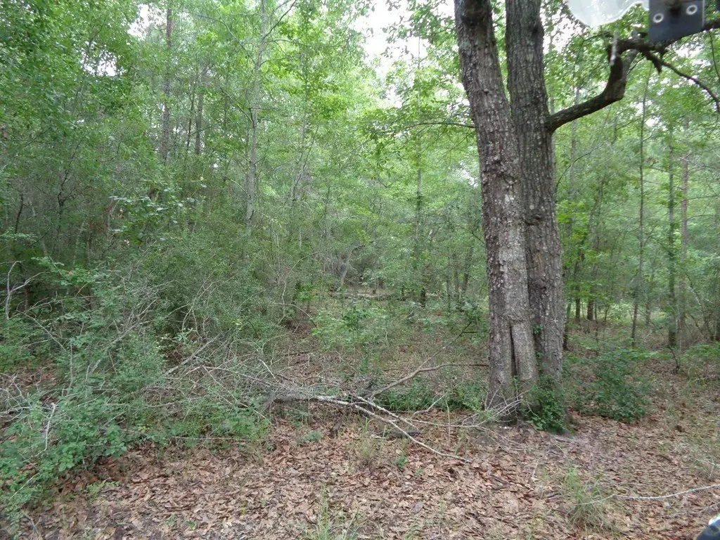 Picture 12