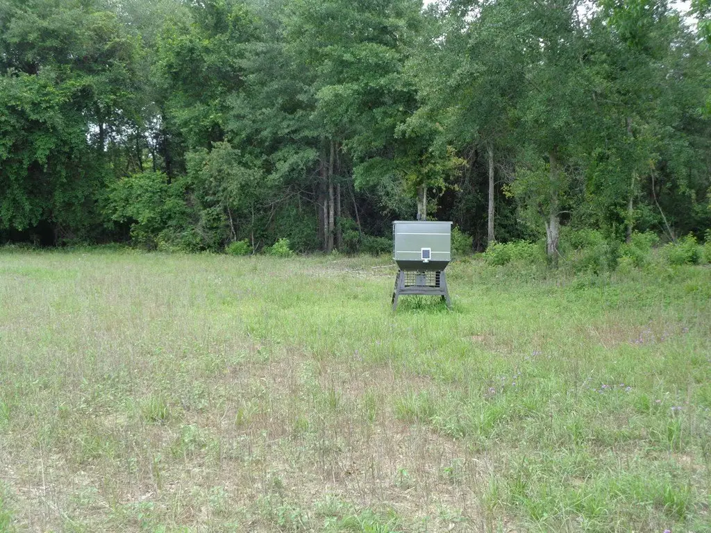 Picture 5