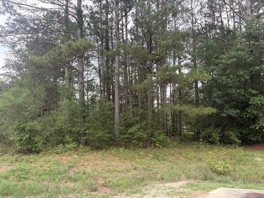 Picture 2