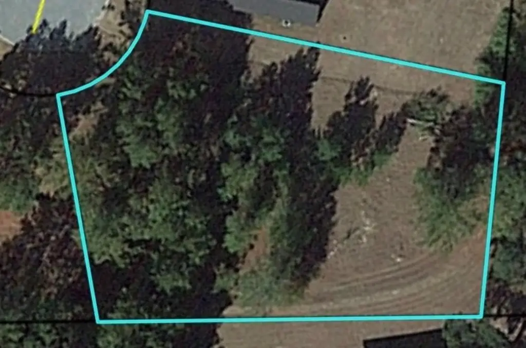 Picture 3