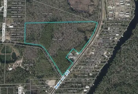 Undeveloped Land Near Steinhatchee River