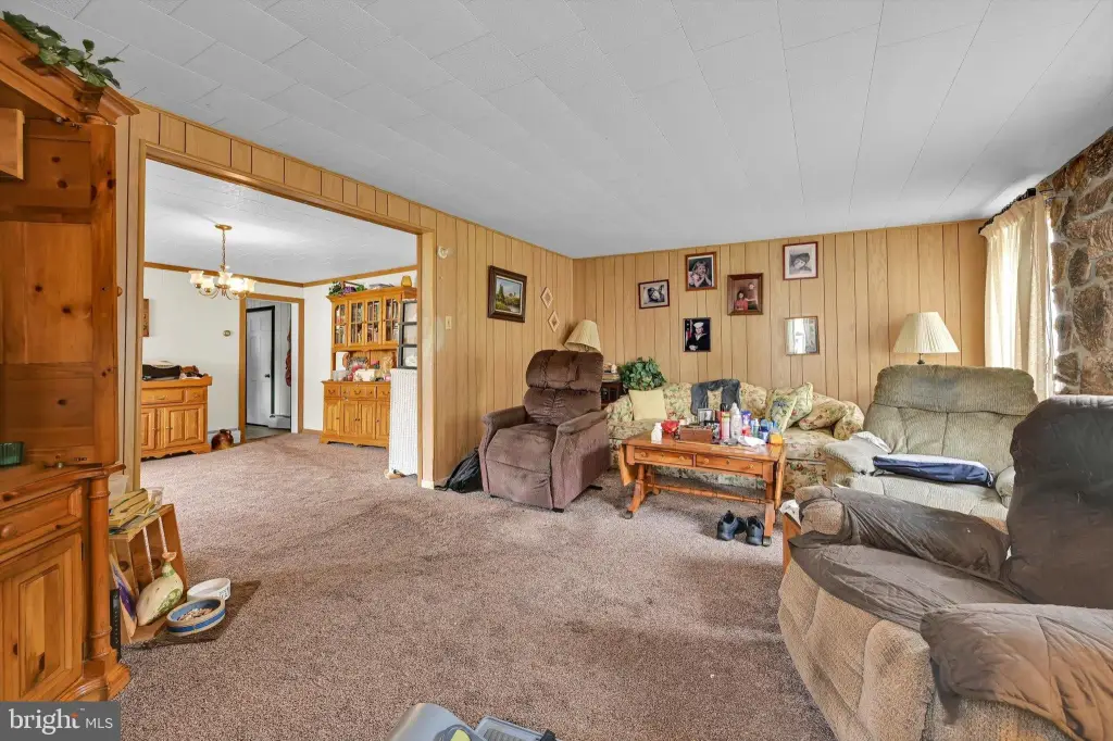 Picture 13