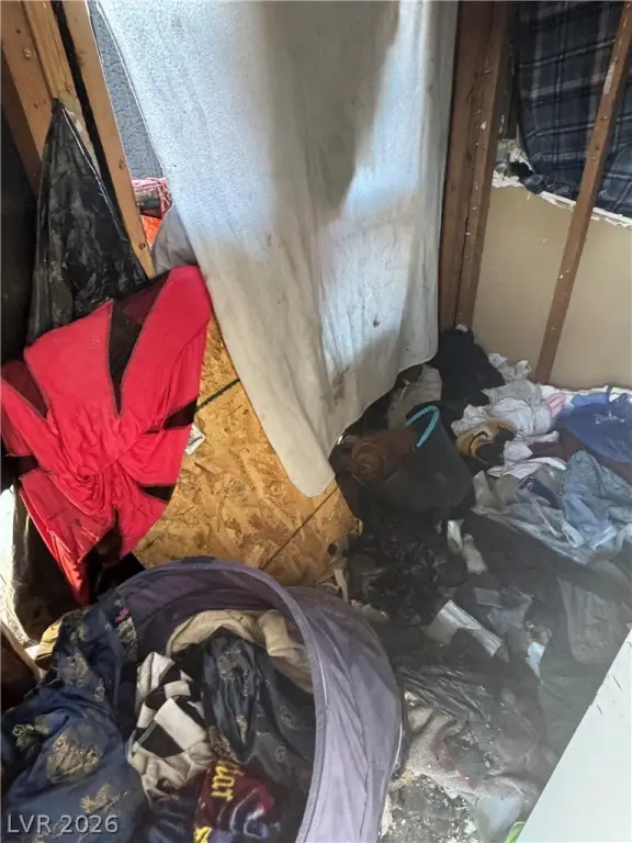Picture 29