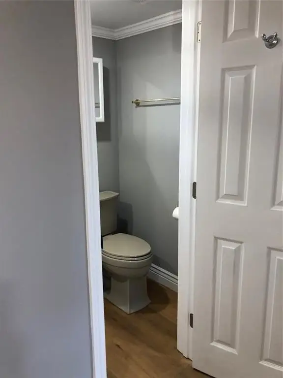 Picture 24