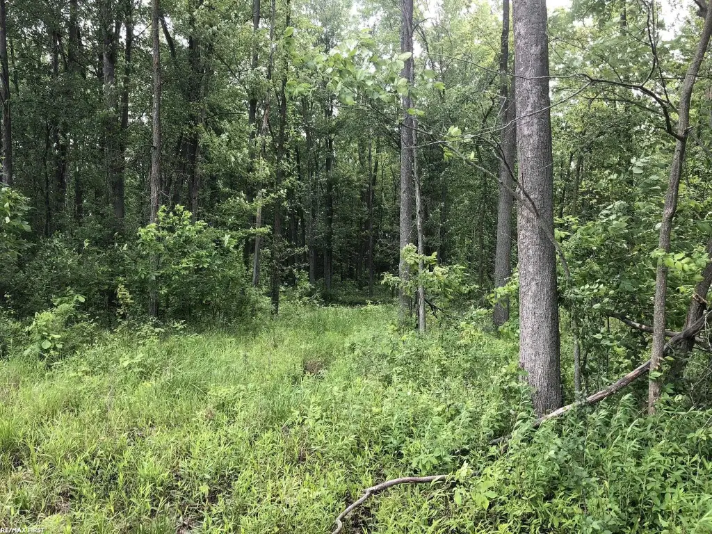 Picture 30