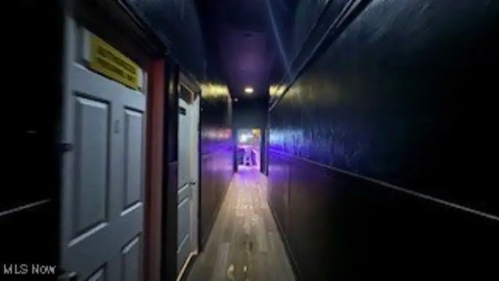 Picture 5