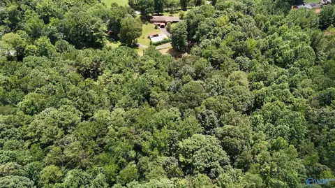 22 Acres in Falkville, AL