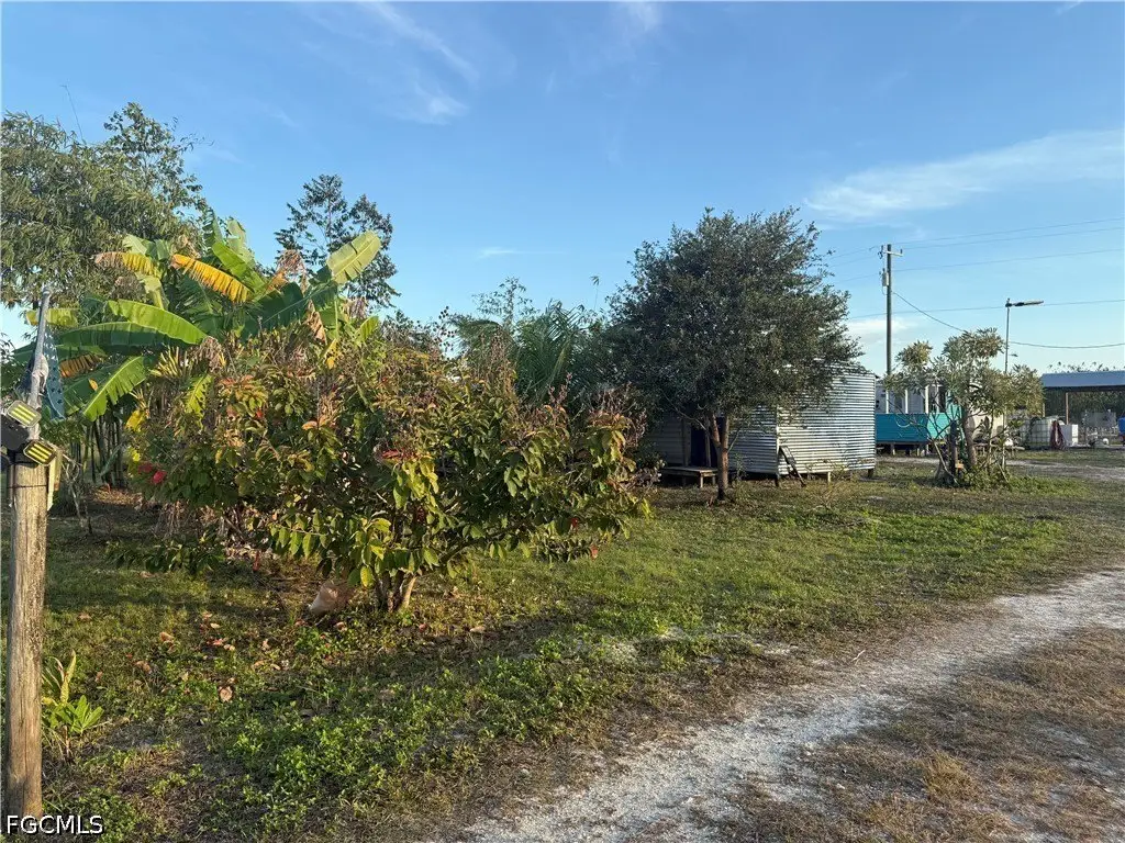 Picture 26