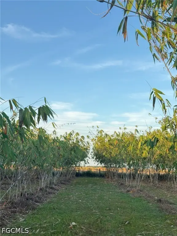 Picture 15