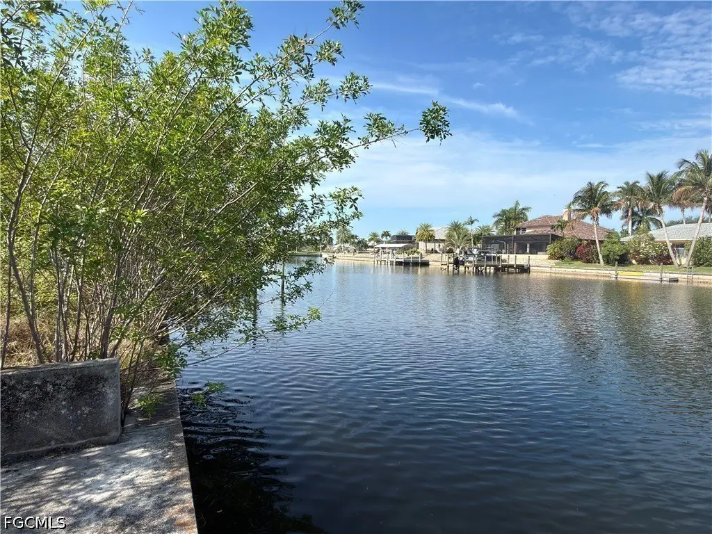Picture 4