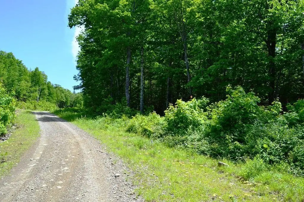 Picture 6