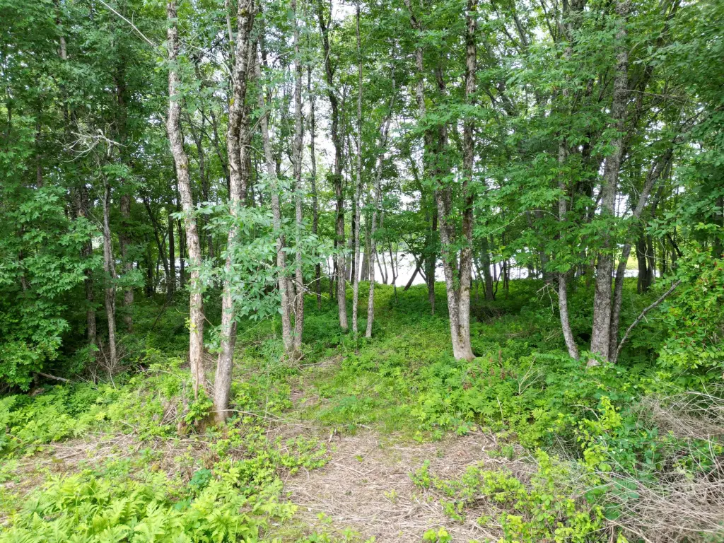 Picture 4