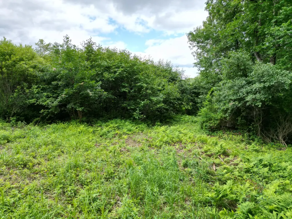 Picture 5