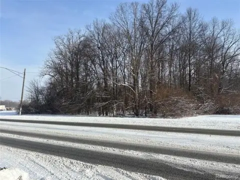 Romulus Commercial Development Opportunity