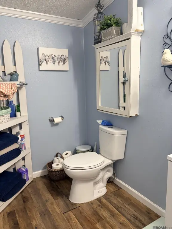 Picture 16