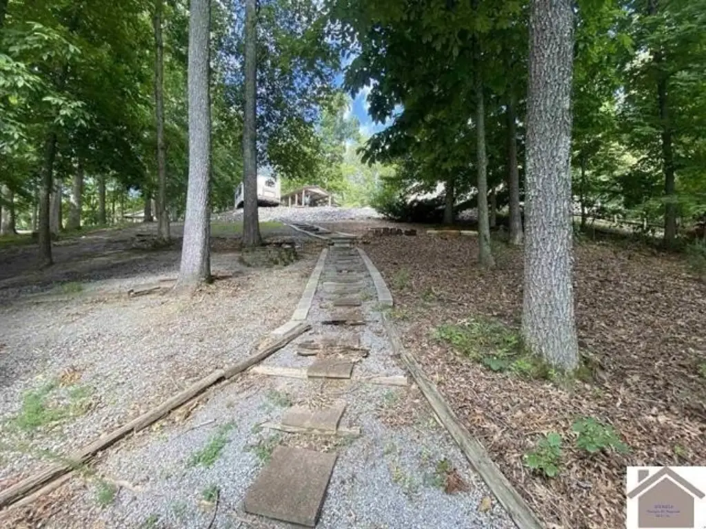 Picture 8