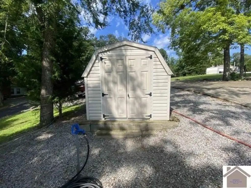 Picture 6