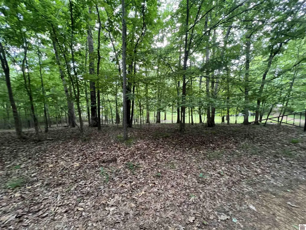 Picture 40