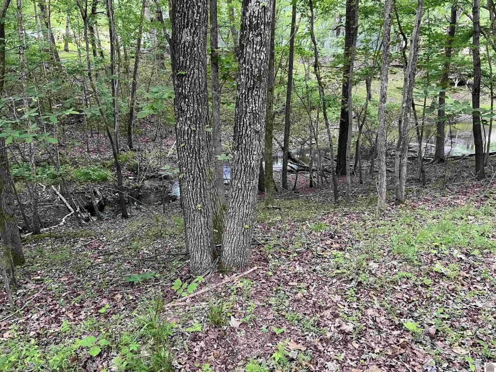 Picture 17
