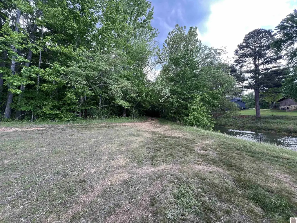 Picture 16