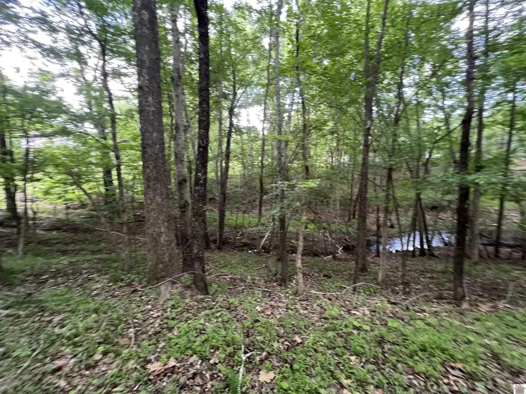 Picture 23