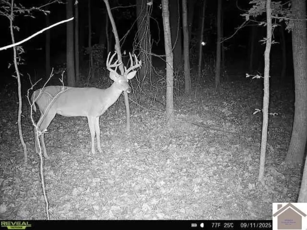 Picture 2