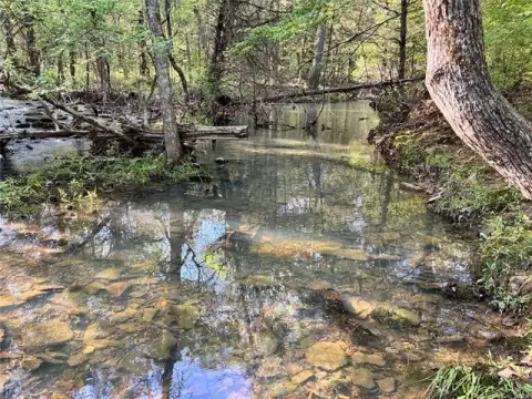 30 Acres Near Illinois River