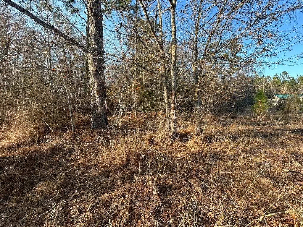 Picture 17
