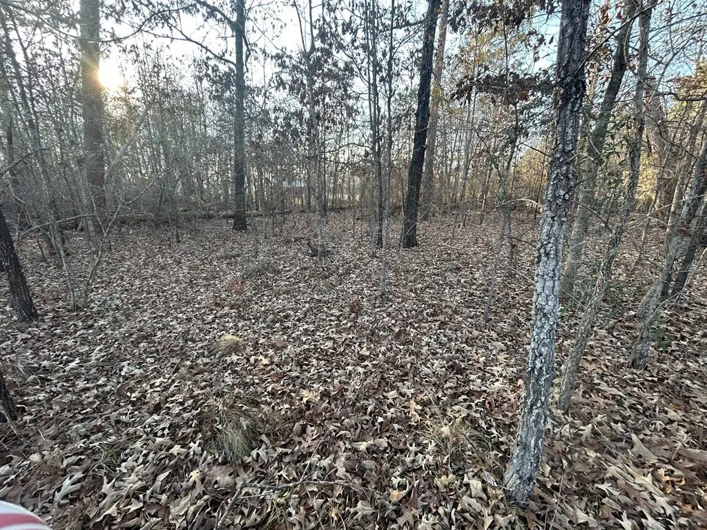 Picture 18