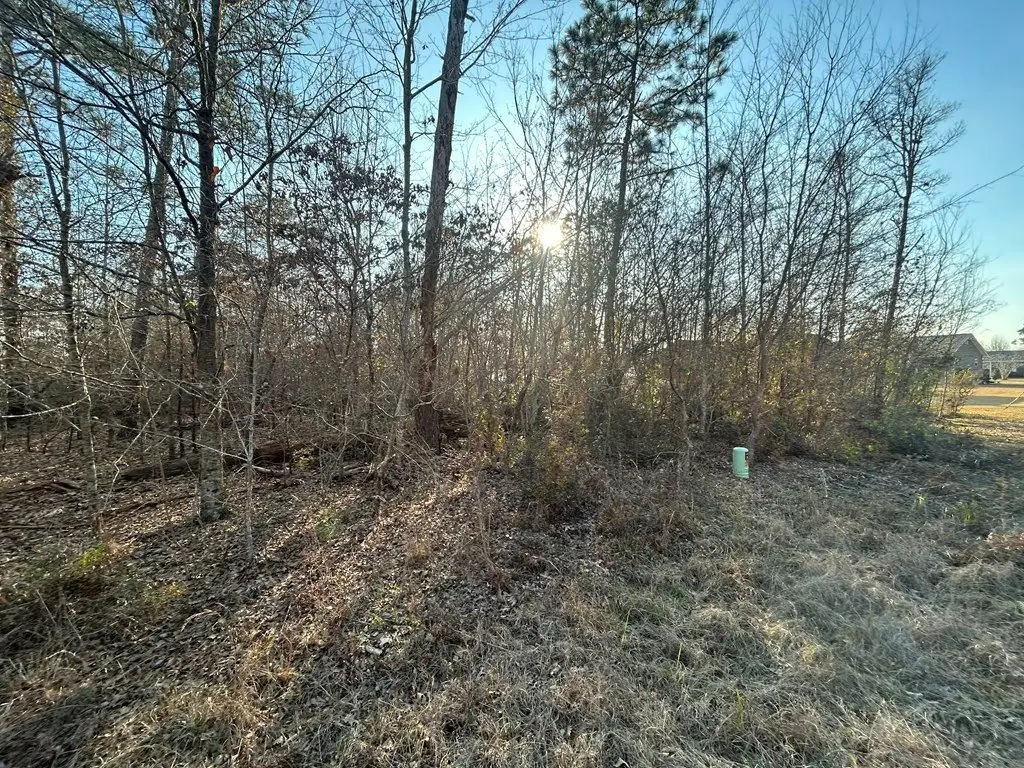 Picture 11