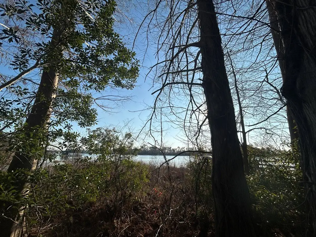 Picture 9