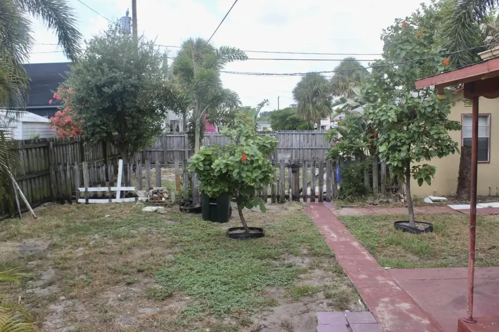 Picture 19