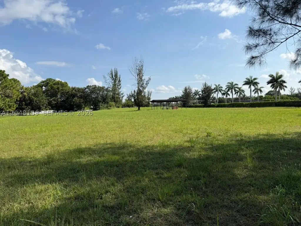 Picture 24