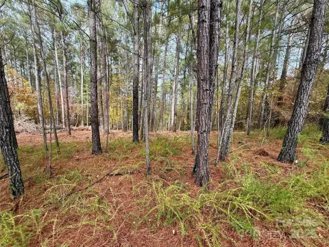 Granite Falls Land For Sale