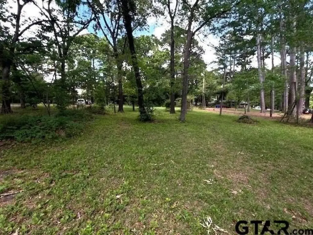 Picture 14