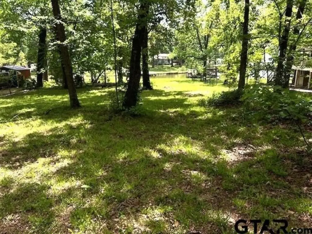 Picture 6