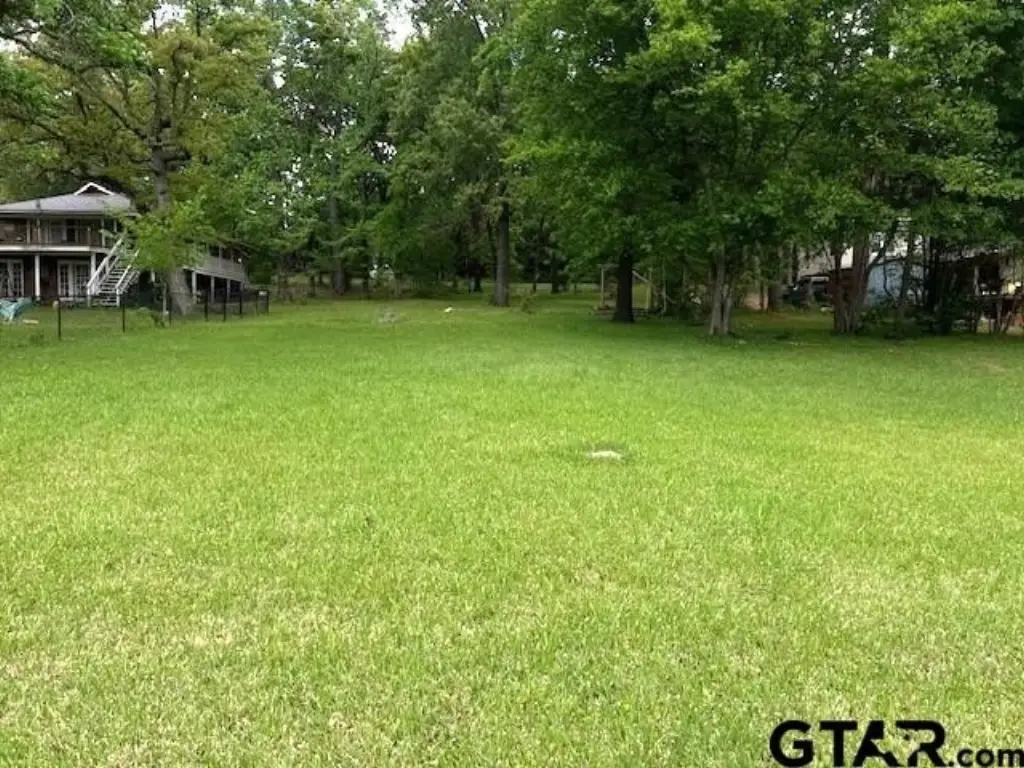 Picture 11