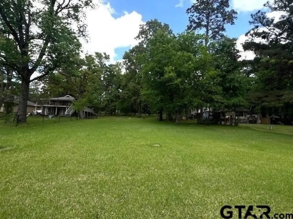 Picture 12