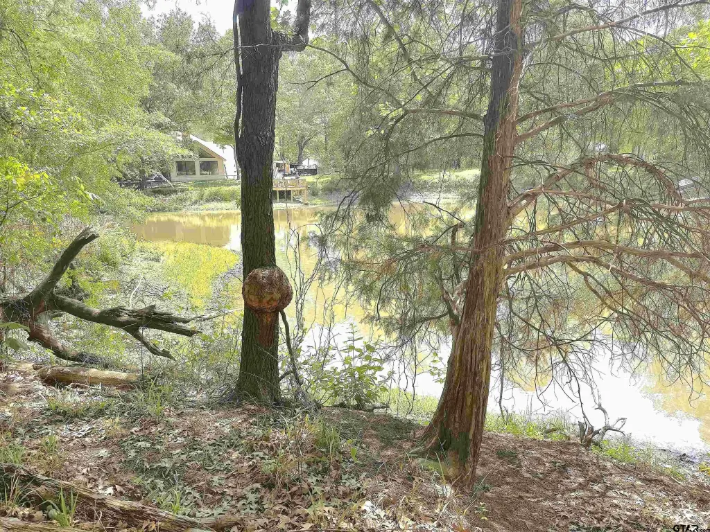 Picture 5