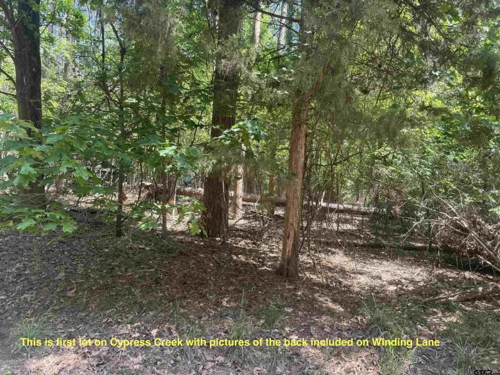 Picture 6