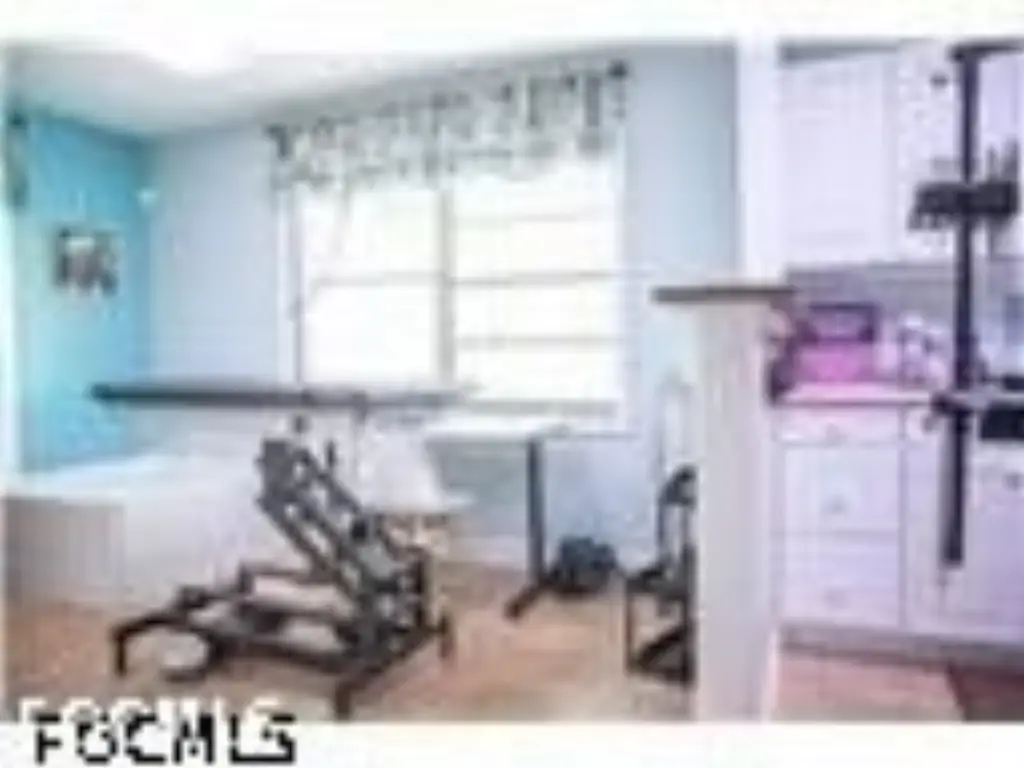 Picture 11