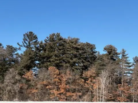 Wooded Land Near DNR Land