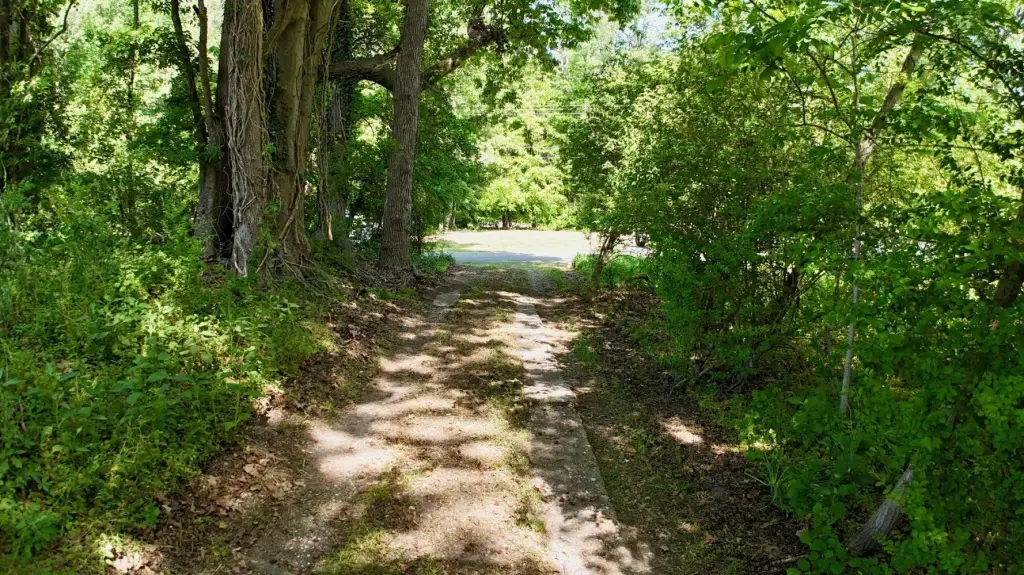 Picture 15